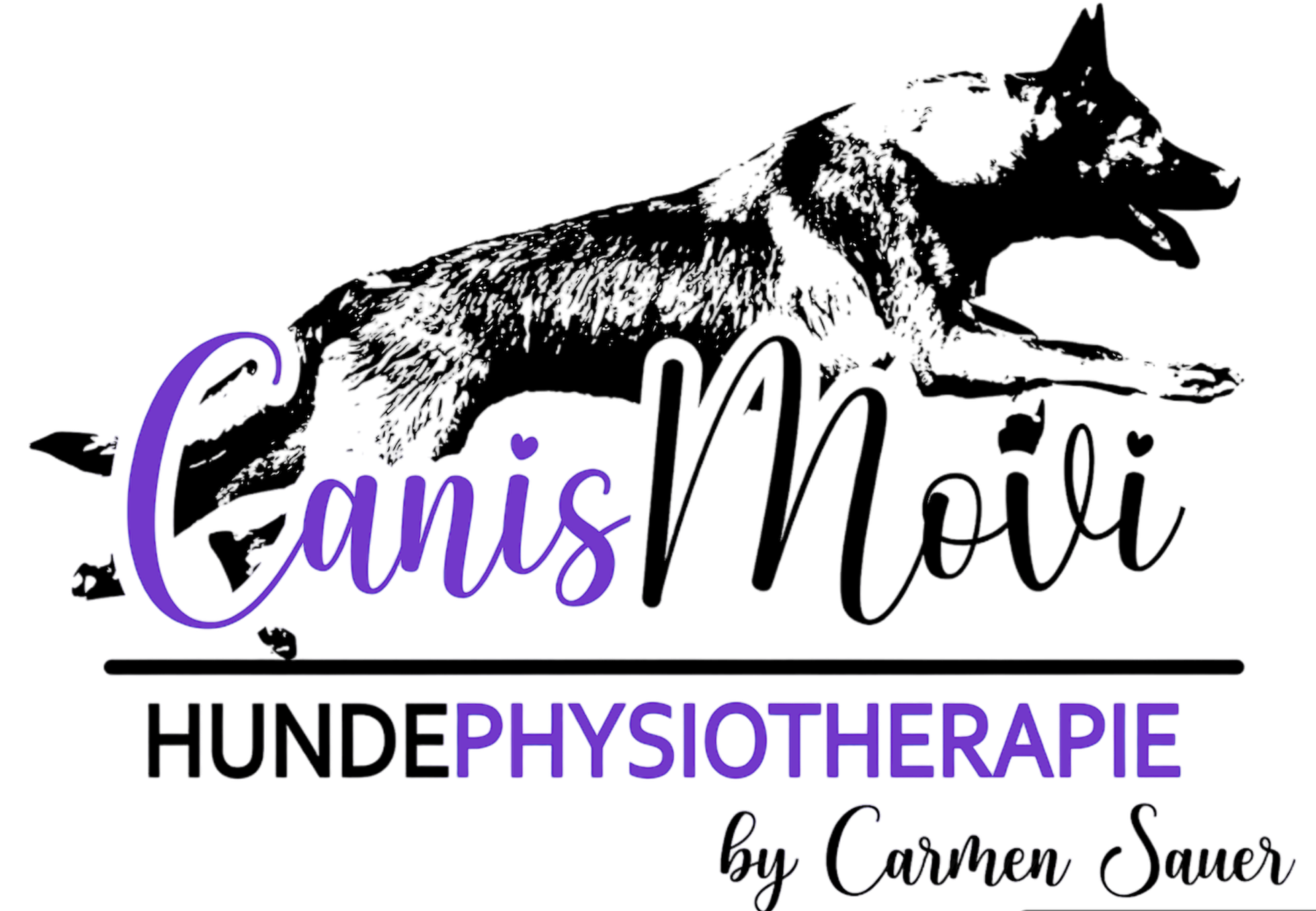 CanisMovi-HundePhysiotherapie